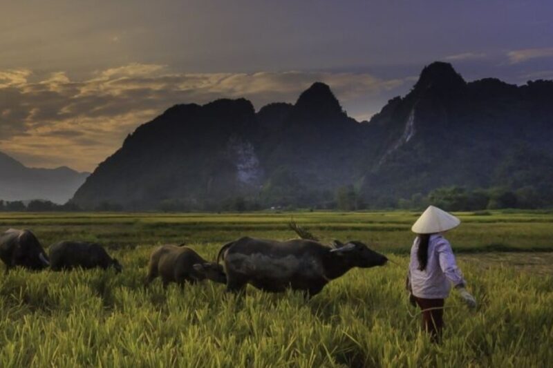 Le tour opérateur Asia Voyages ouvre une nouvelle phase de croissance avec un second LBO aux côtés d’AXIO Capital et de Siparex Intermezzo